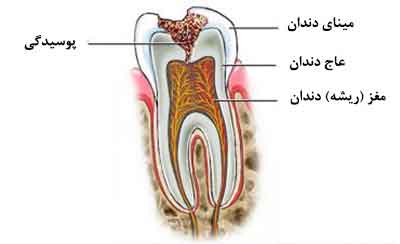 کلینیک دندانپزشکی دریای نور