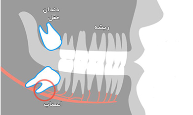 کلینیک دندانپزشکی دریای نور